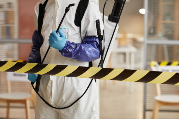Professional Blood Cleanup technician working in Lincoln, NH